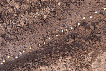 Similar image 21169866