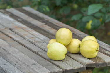 Similar image 21152248