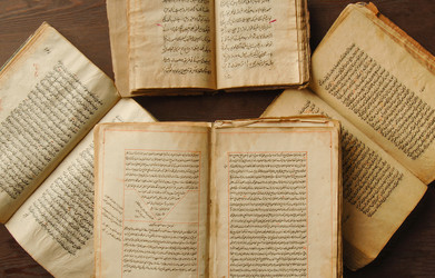 Similar image 21162515