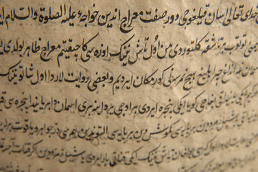 Similar image 21162516