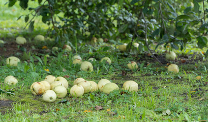 Similar image 21162646