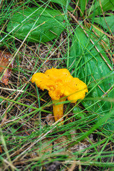 Similar image 21166939