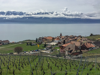 Similar image 21166940