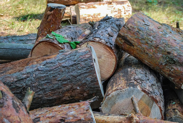 Similar image 21166941