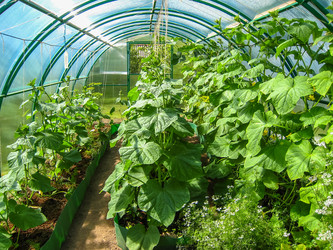 Similar image 21166943