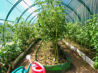 Similar image 21166944