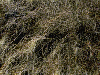 Similar image 21166947