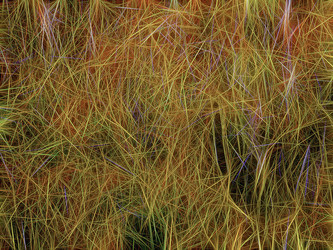 Similar image 21166950