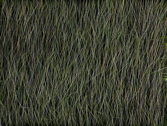 Similar image 21166954