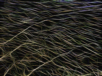 Similar image 21169428