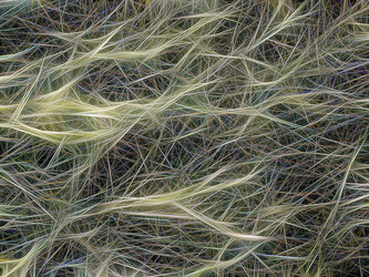 Similar image 21169430