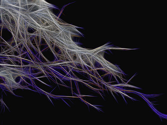 Similar image 21169431