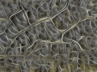 Similar image 21169334