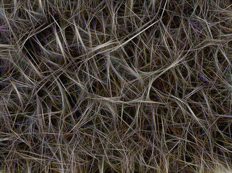 Similar image 21169335