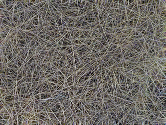 Similar image 21169647