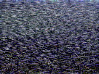 Similar image 21169648