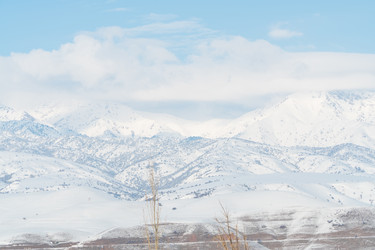 Similar image 21162715