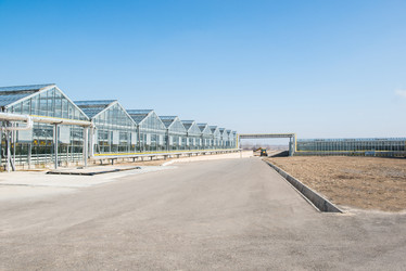 Similar image 21162727