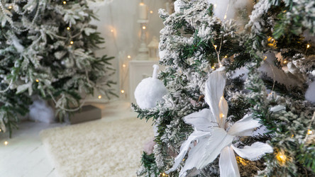 Similar image 21162738