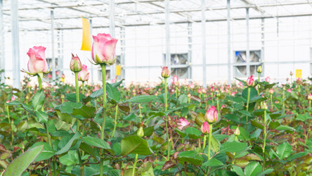 Similar image 21163230