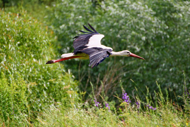 Similar image 21147462