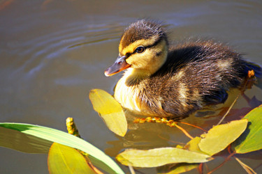 Similar image 21147463