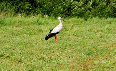 Similar image 21147465