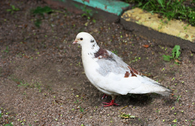 Similar image 21147466