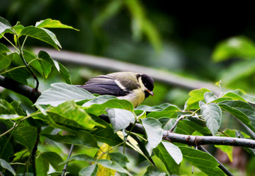 Similar image 21147467