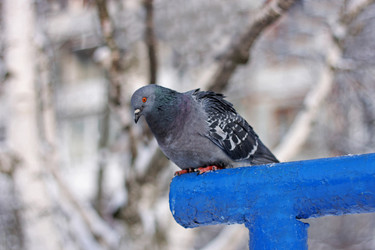 Similar image 21147468