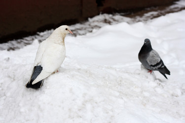 Similar image 21147469