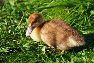 Similar image 21147470