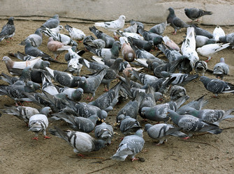 Similar image 21147471