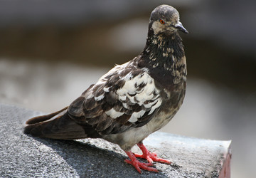 Similar image 21147472