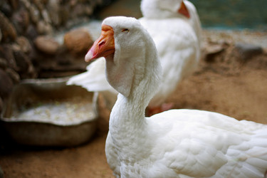 Similar image 21147473