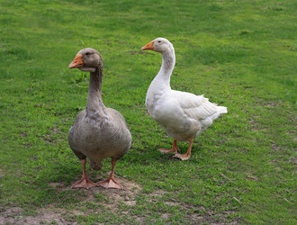 Similar image 21147474