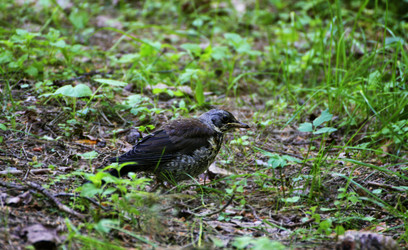 Similar image 21147475