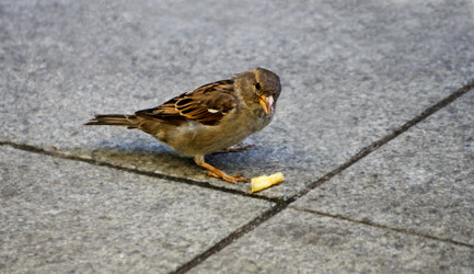 Similar image 21147477