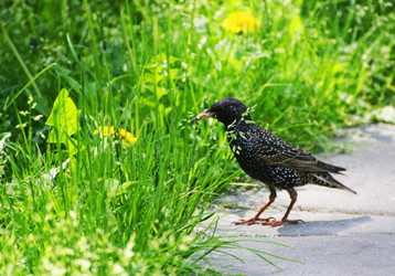 Similar image 21147479