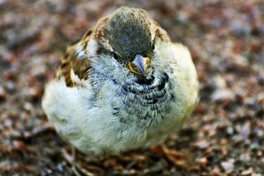 Similar image 21147482