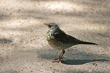 Similar image 21147483