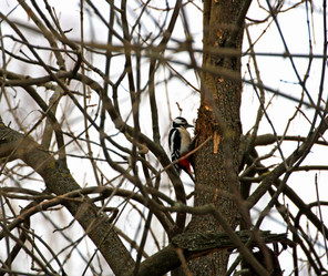 Similar image 21147484