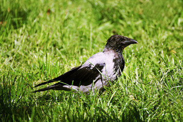 Similar image 21147486