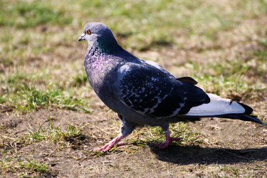 Similar image 21147487