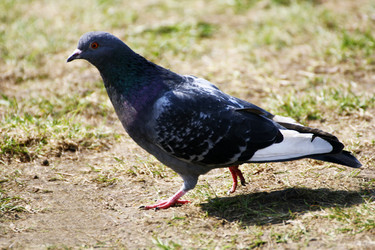 Similar image 21147491