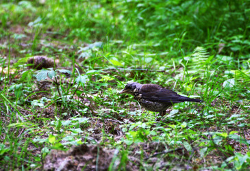 Similar image 21147493