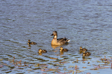 Similar image 21147494