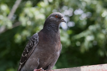 Similar image 21147496