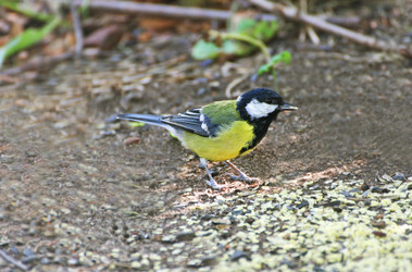 Similar image 21148281