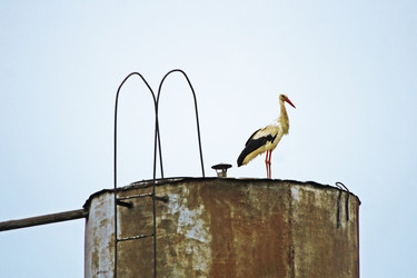 Similar image 21148282